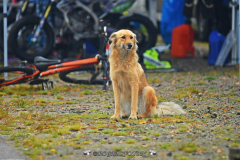 DSC_4743