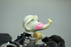 1_DSC_8834